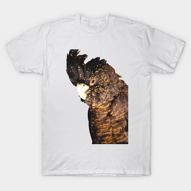 Black Cockatoo Illustration T-Shirt by Alemi